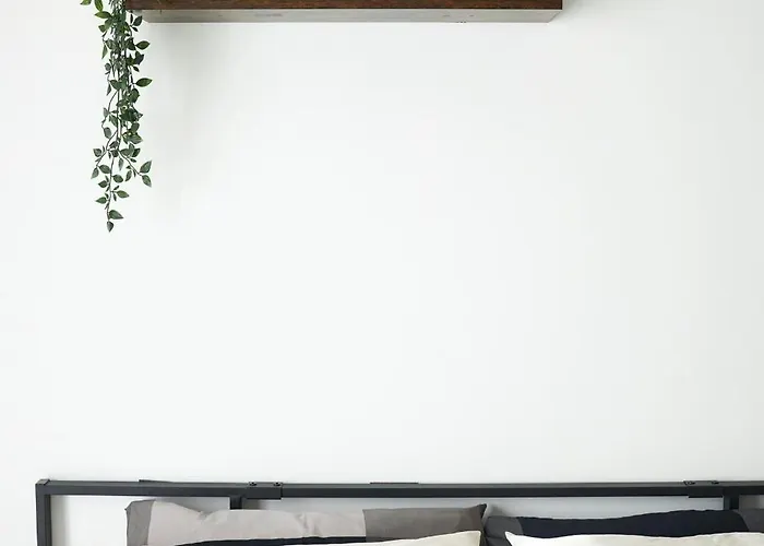 Plebiscito Old Fashion *